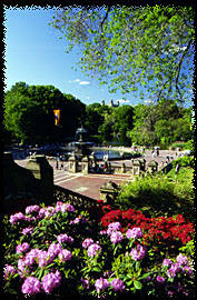 Photo of Bethesda Terrace and Fountain in Central Park