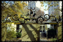 Photo of Dancing Goat in Central Park