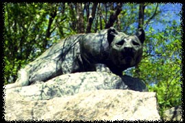 Photo of the Still Hunt sculpture in Central Park