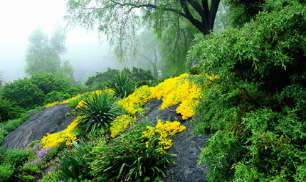 http://www.nycgovparks.org/sub_your_park/vt_north_manhattan_parks/vt_fort_tryon/images/heather_garden_mist.jpg