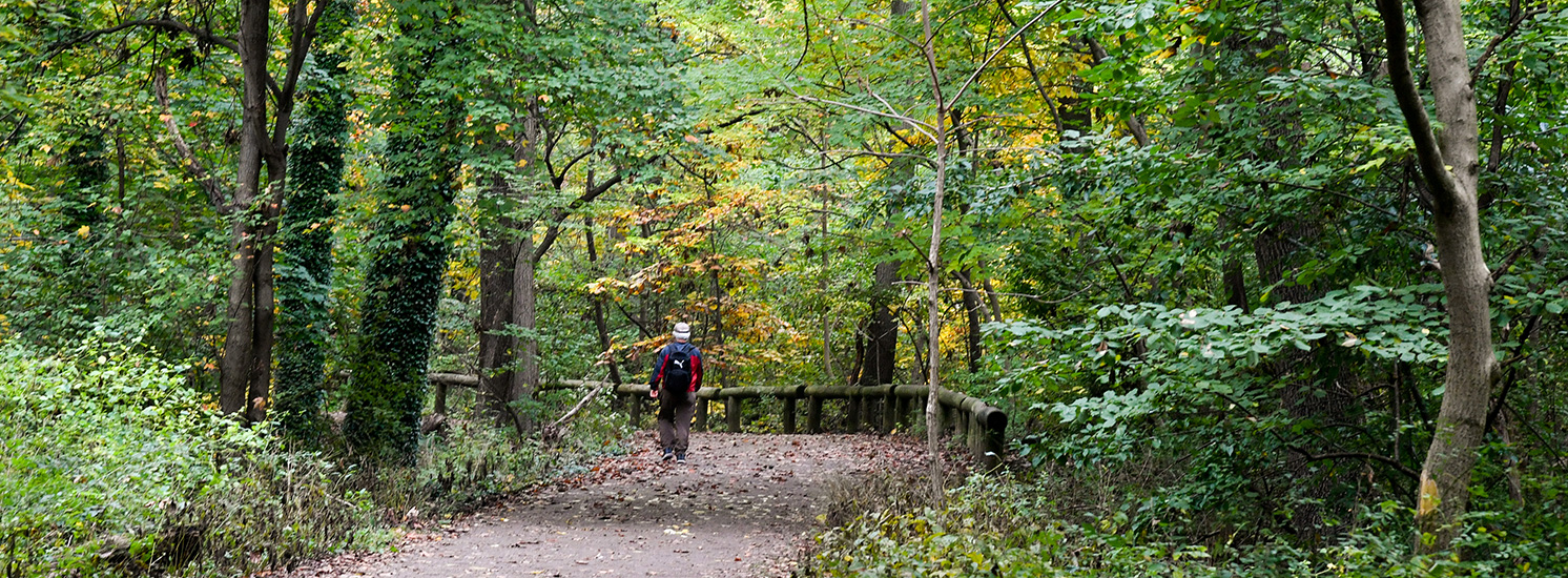 Hiking Trails : NYC Parks