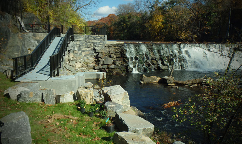 Places to Go and Things to Do at the Bronx River Greenway : NYC Parks