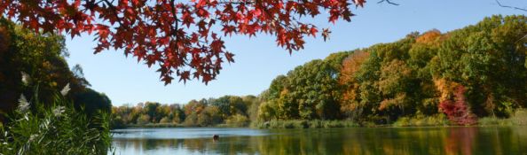 Alley Pond Park Hiking Trails : NYC Parks