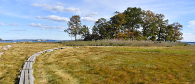 A wooden footpath leads across an open field to a forested area near a waterfront.