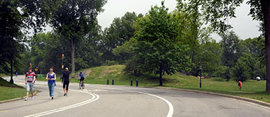 Park goers bike and walk along a car-free roadway in Central Park.