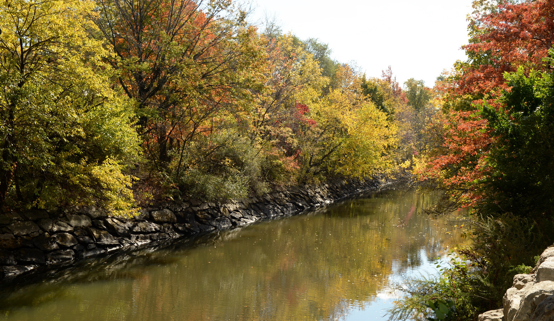 fall foliage in parks