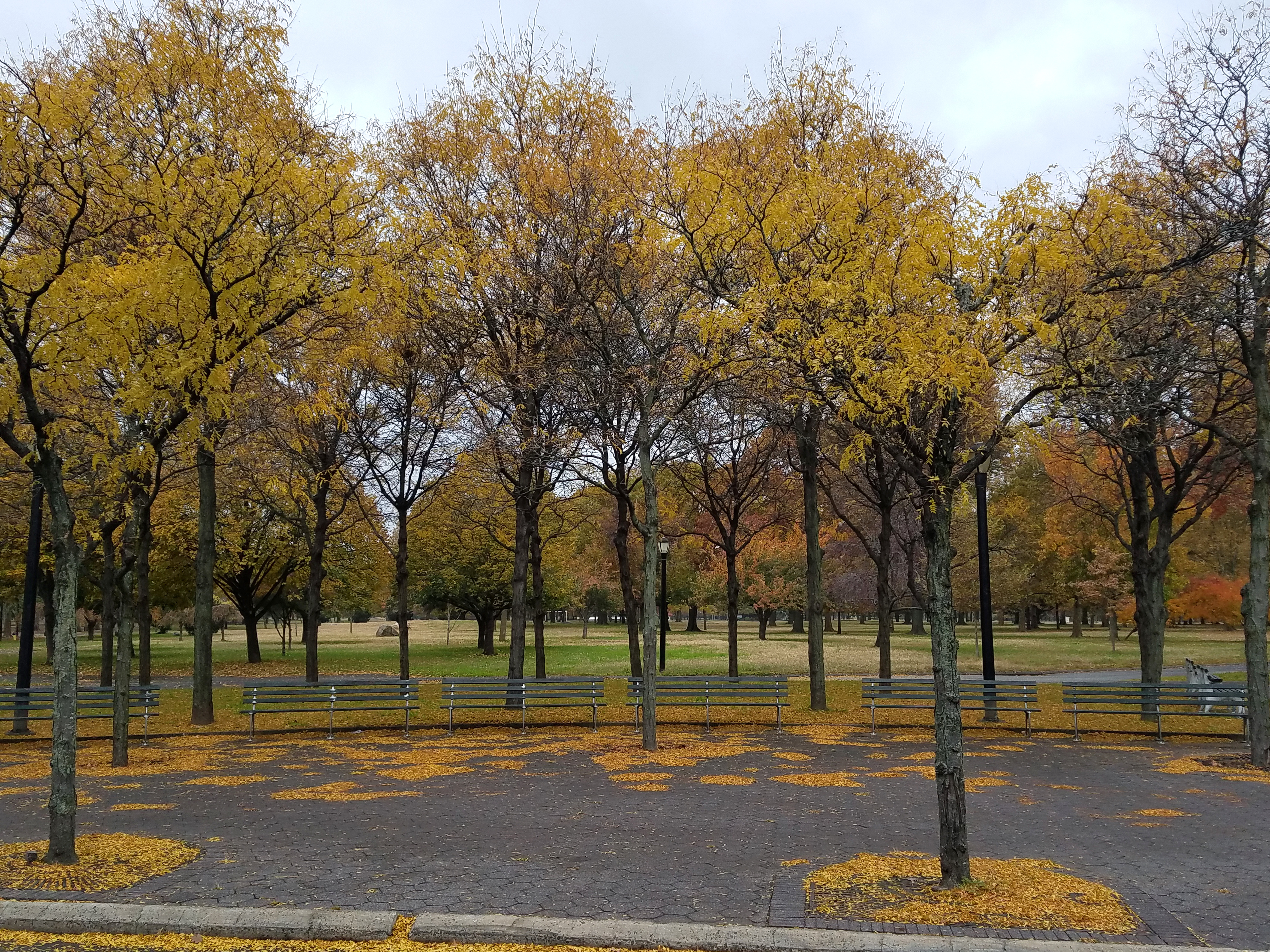 Meridian Road and Meadow Lake Road