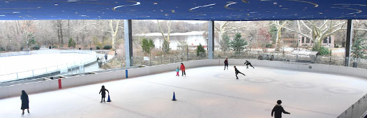 guests ice skate at a rink the park