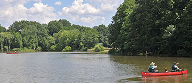 Park rangers lead a canoeing program in a lake in the park