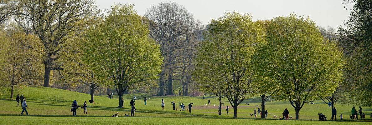 Jobs At Parks Nyc Parks