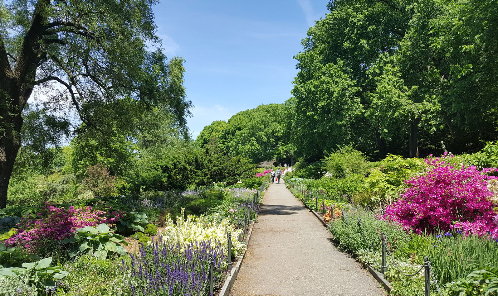 Massive, winding pathways lead through an urban forest and the famous Heather Garden.