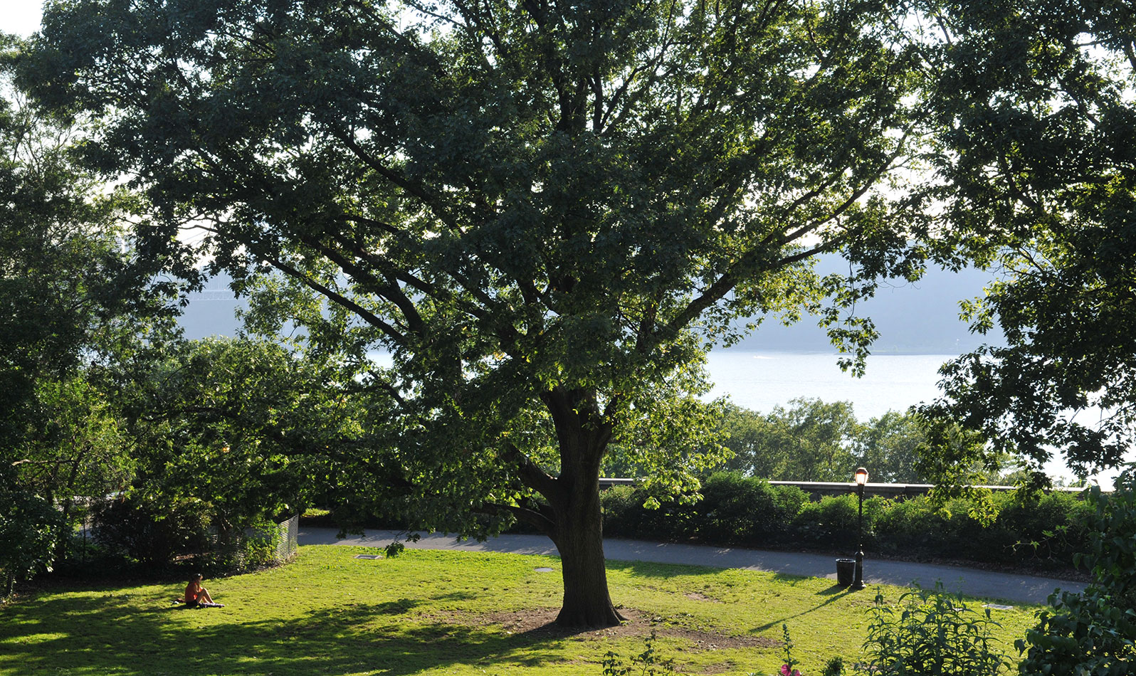 Picnic lawns and overlooks throughout the park offer spots to relax and enjoy the sights and sounds of nature.