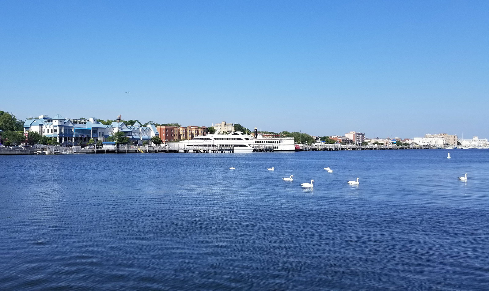 If you have more time to explore, head to Shore Boulevard for a stroll along Sheepshead Bay Piers. Be sure to take photos on the Ocean Avenue Pedestrian Bridge, which spans the bay!