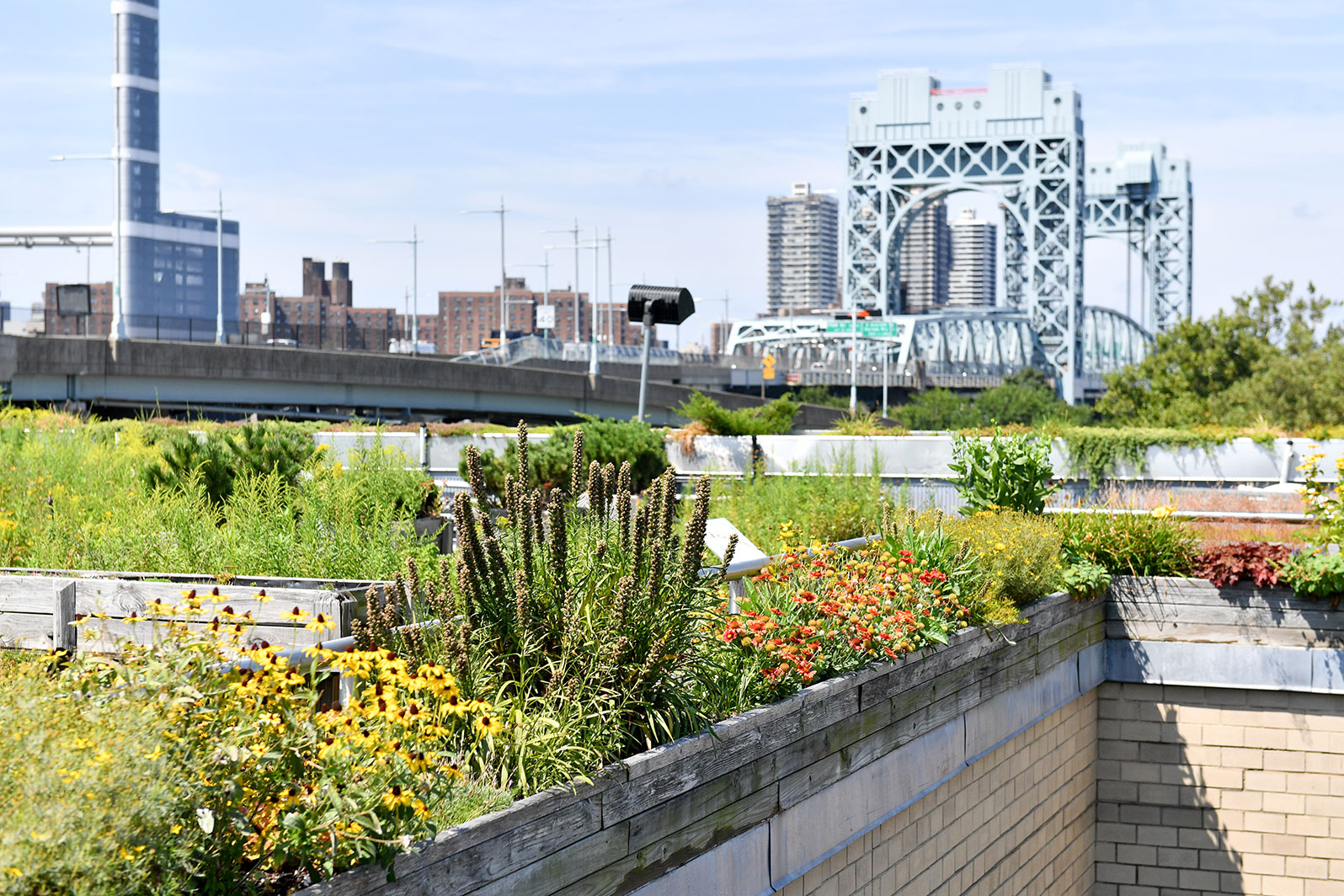 Green Roofs NYC Parks