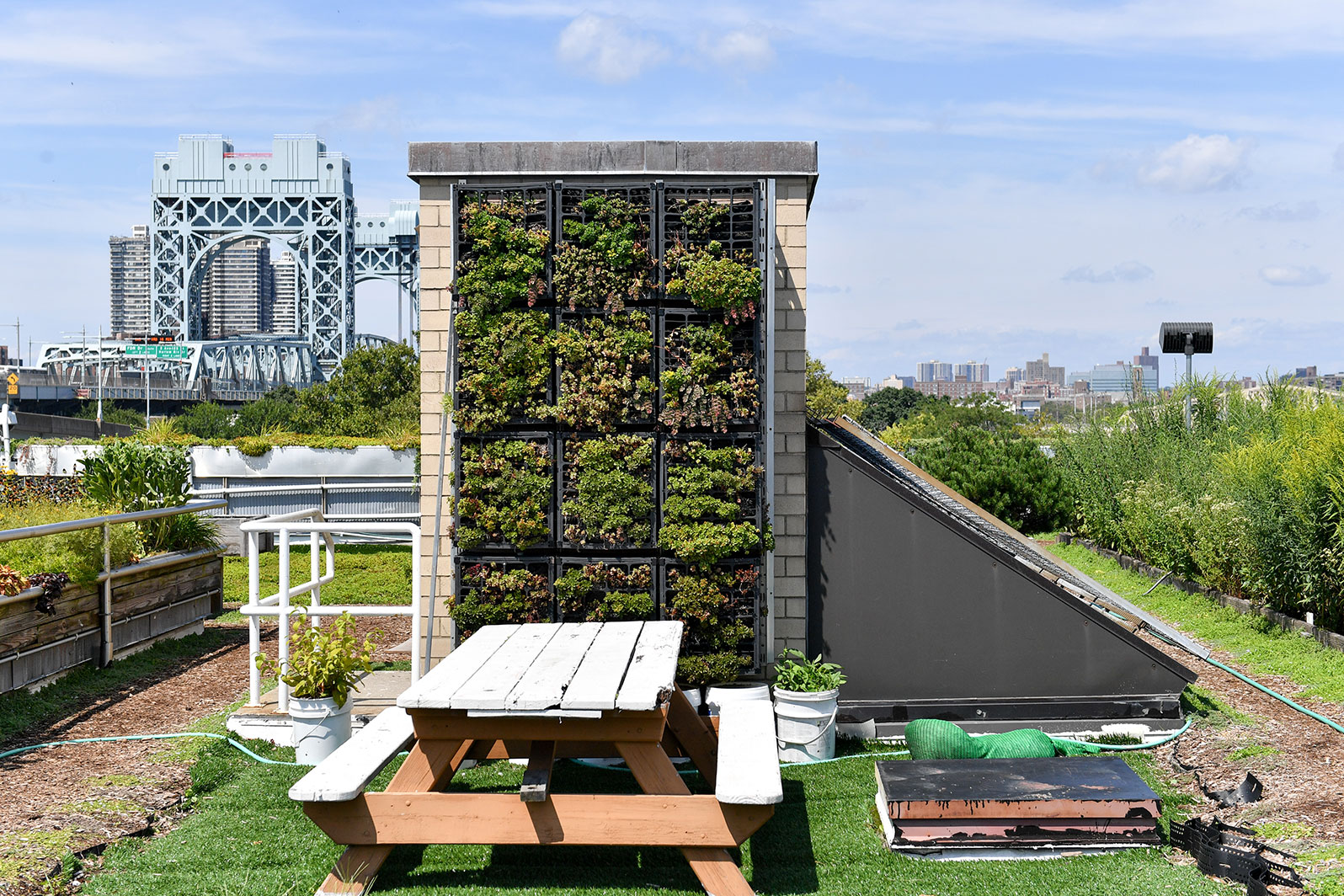 Green Roofs NYC Parks green-roofs-nyc-parks