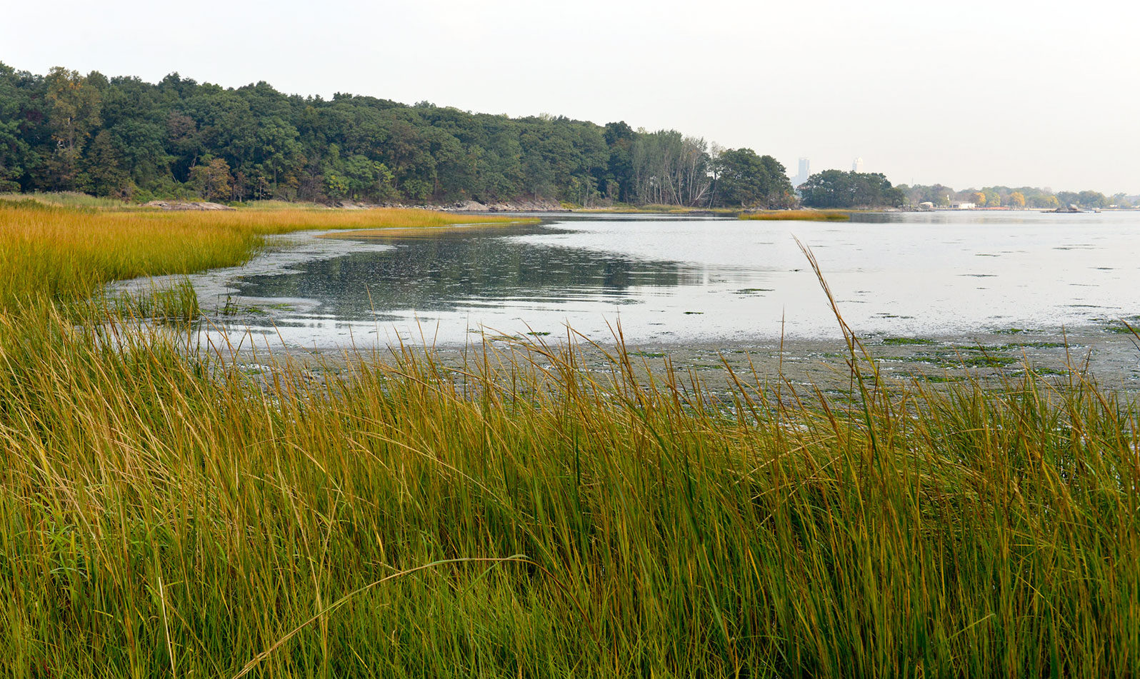 Take the Kazimiroff Nature Trail through Hunter Island, a nature sanctuary where owls and the park's oldest oak trees live.
