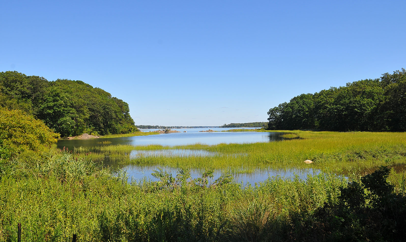 From the mansion, head out to The Lagoon, best enjoyed on foot on the Siwanoy Trail.