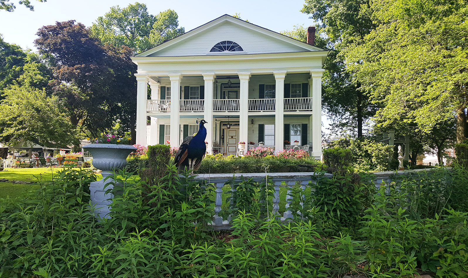 Head up Seguine Avenue to this 19th-century beauty with peacocks on the lawn. Plan ahead: make an appointment for a tour of this 18-room historic house!