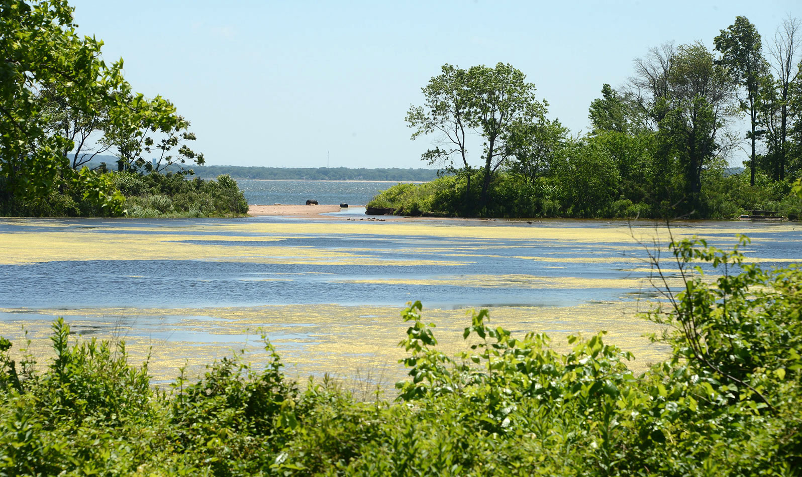 Venture along the Wolfe Pond Park’s southwestern edge to see the pond that gives the park its name. Then head over to the rocky shorefront at Lemon Creek Park, just next door.