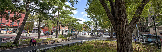 a large tree in a tree bed hangs over the walkways of the park and the seating area where a woman is sitting to read