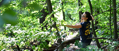 a volunteer inspects a tree in the forest