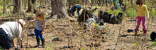kids and their families plant trees in a park