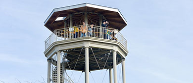 guests look out and take photos from the top of the watchtower