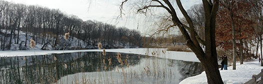 A couple embraces near Oakland lake which is surrounded by snow covered paths