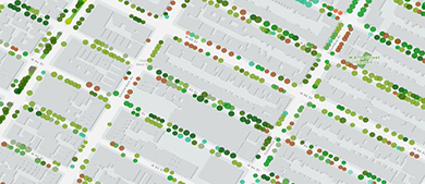 a map of the Manhattan grid with dots in various colors that represent where street trees are planted