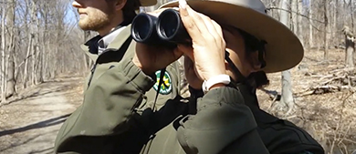 park rangers use binoculars to look into the woods