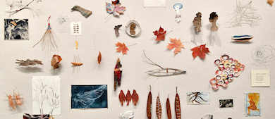Leaves, barks, and other found objects transformed into art are pinned on a board in the gallery.
