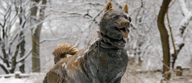 bronze statue of a dog lightly covered in snow in Central Park