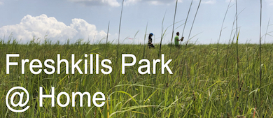 Two people walk along a grassland area. The workds Freshkills Park at home are overlayed on the image