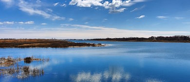View of a bay area and salt marsh under a blue sky day with mesmerizing clouds.