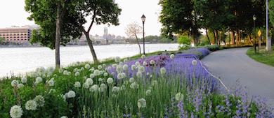 A path winds past flowers in bloom along the waterfront.