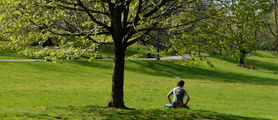 A woman sits under a tree in a park