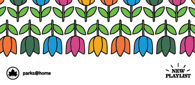 cartoon of tulips in various colors