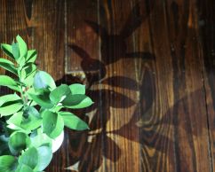 A photo of the shadow of leaves lit against a hardwood floor.
