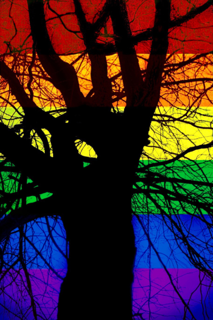 Image of a dark outline of a tree in front of pride colors