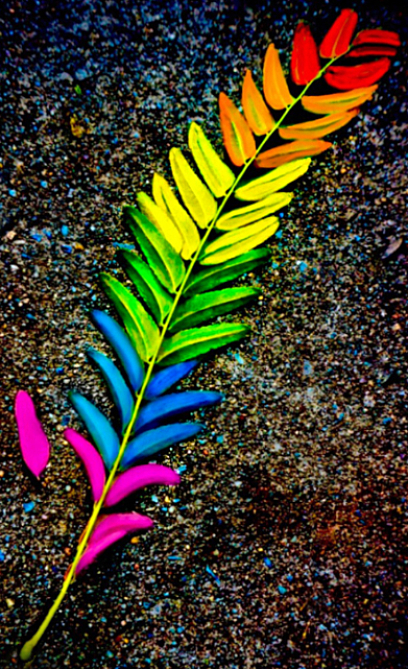 A leaf splashed with pride colors
