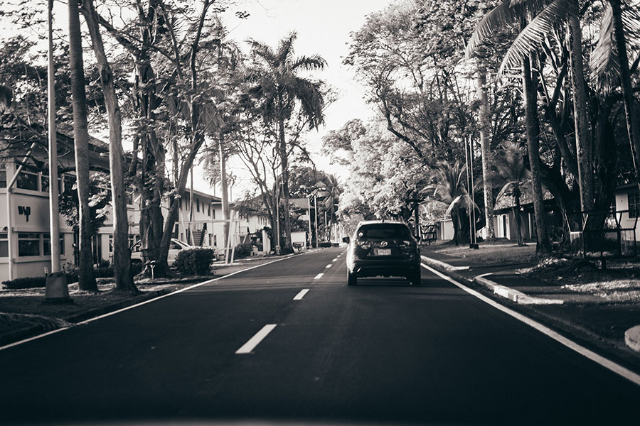 Black and white image of a car driving down a residential street lined with palm trees