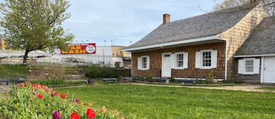 view from a path lined with tulips of a one-story house