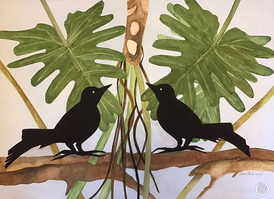 A near mirrored image of two black birds sitting on a branch, each in front of a broad tropical leaf with many lobes.