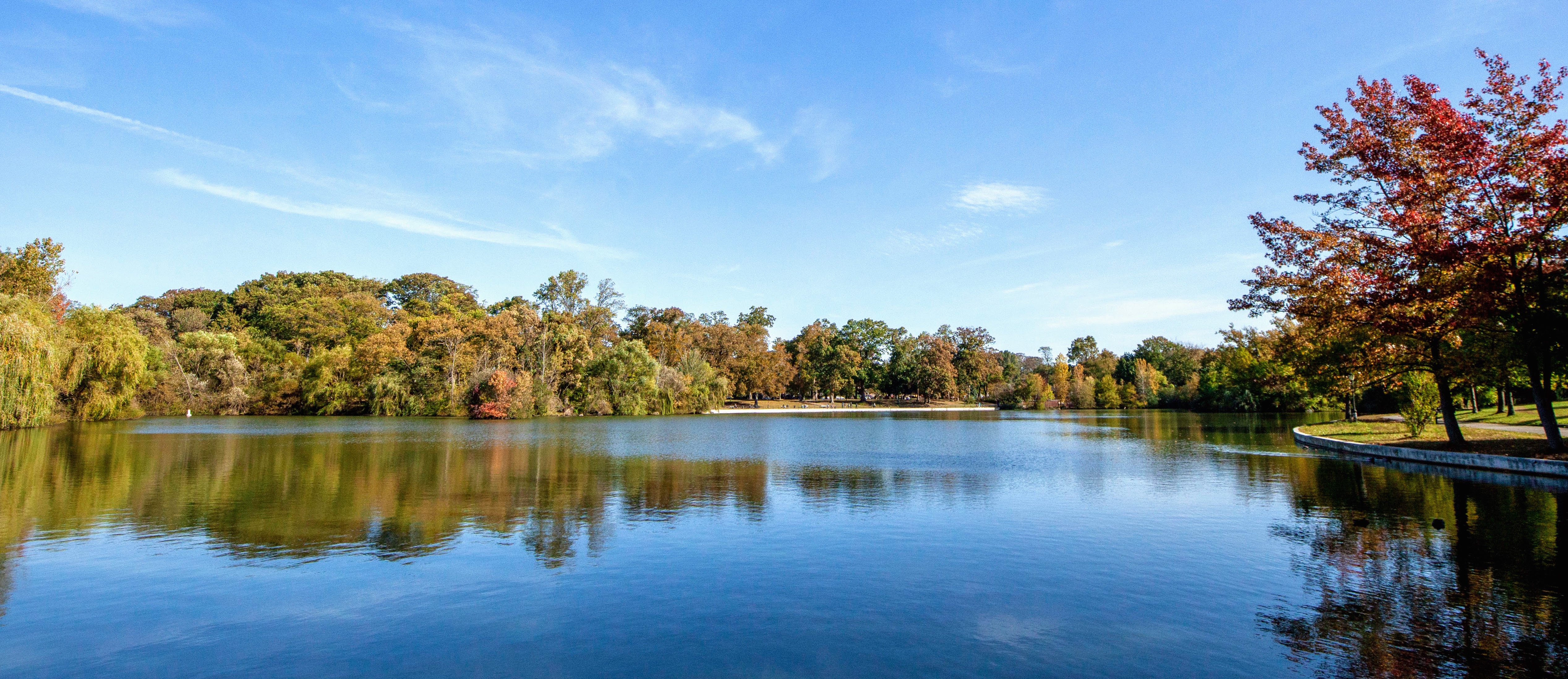 View from the lake of the trees in fall colors at Kissena Park