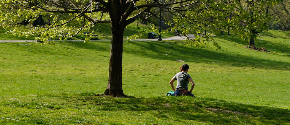A woman sits under a tree in a park