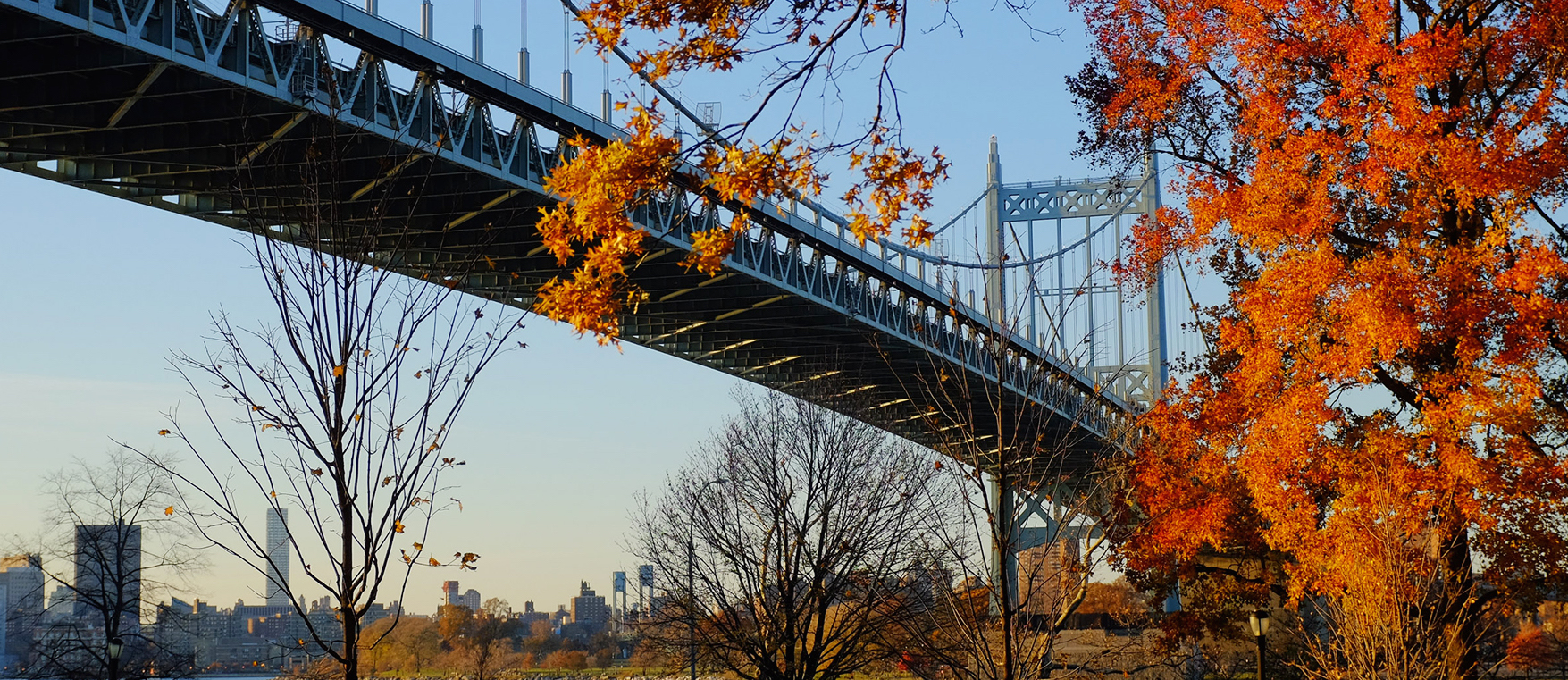 View from the park of the bridge view flanked by trees in fall color