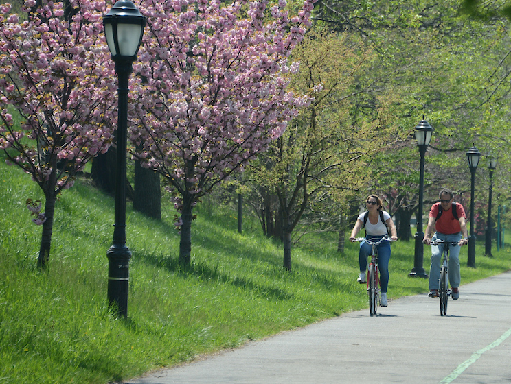 Places to Go : NYC Parks