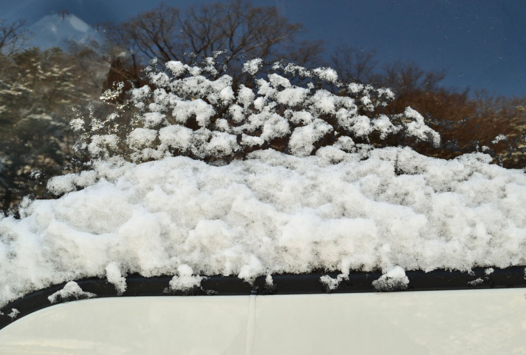 leafless treed reflect in a puddle of water in which the melting snow looks like a cloud shaped like a dragon