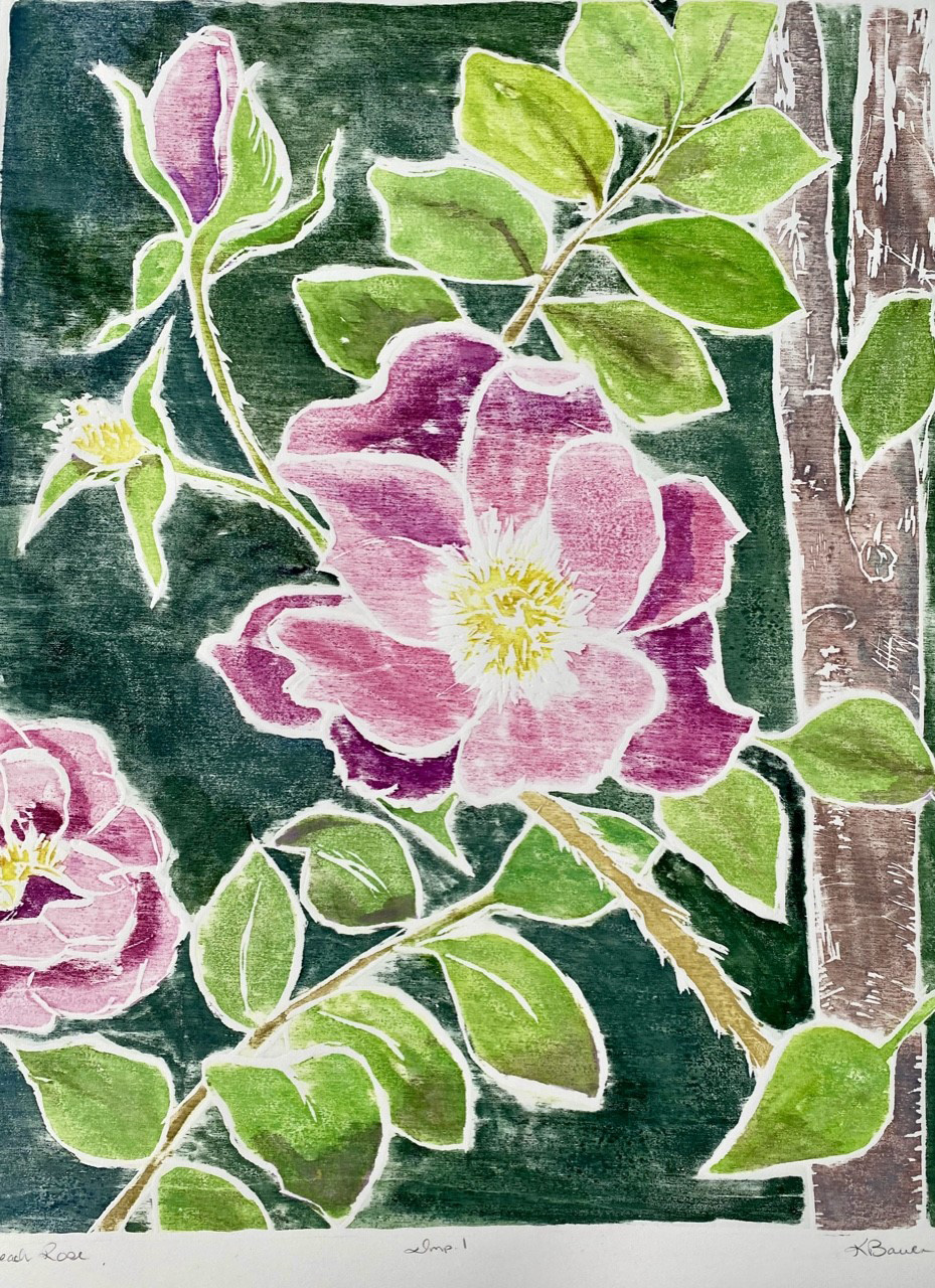 beach rose in bloom
