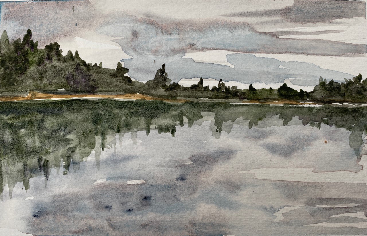 a forest of trees reflects on the lake
